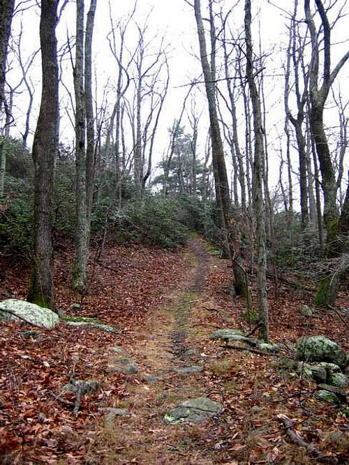 The Flat Top Trail, leading...