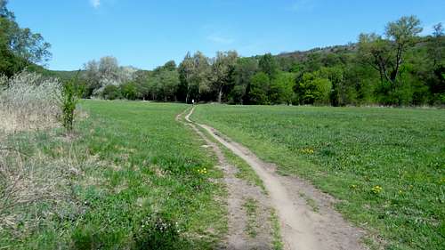 Meadow on the Dyje bank near Šobes