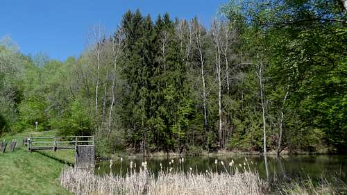 Lake of Žlebský potok in the Podyji national park