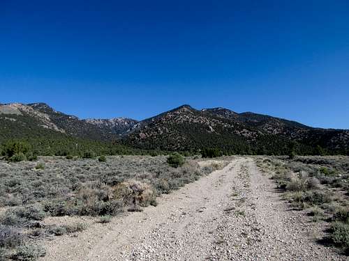 Road into Exchequer Canyon