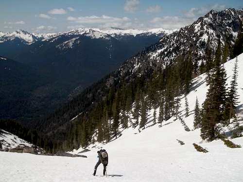 Zephyr heading up the gully