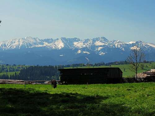 Polish Tatras from Ząb