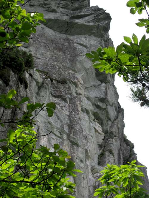 Cliffs of Hawksbill Mountain