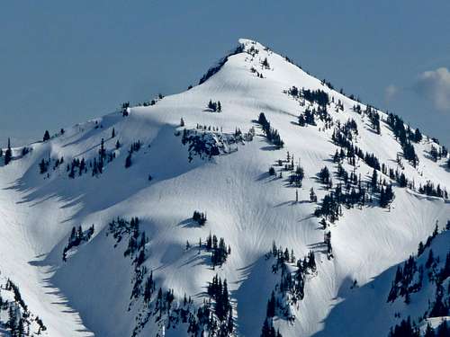 Plummer Peak's Summit