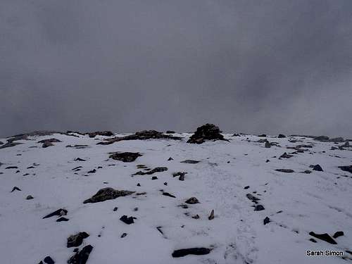 Summit cairn in view!