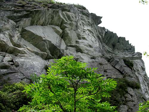 The Cliffs of Hawksbill Mountain