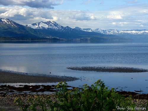 The Narvik bay, Nordland