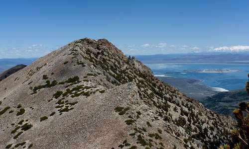 Looking back at Mount Olsen 11,086' and Mono Lake while heading up South Peak