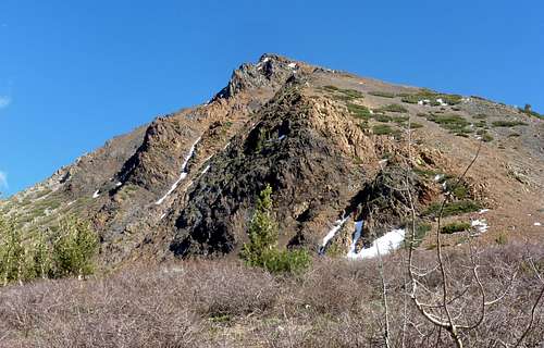 View up to the North Ridge from the Virginia Lakes Trailhead