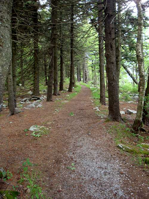trail around the summit area