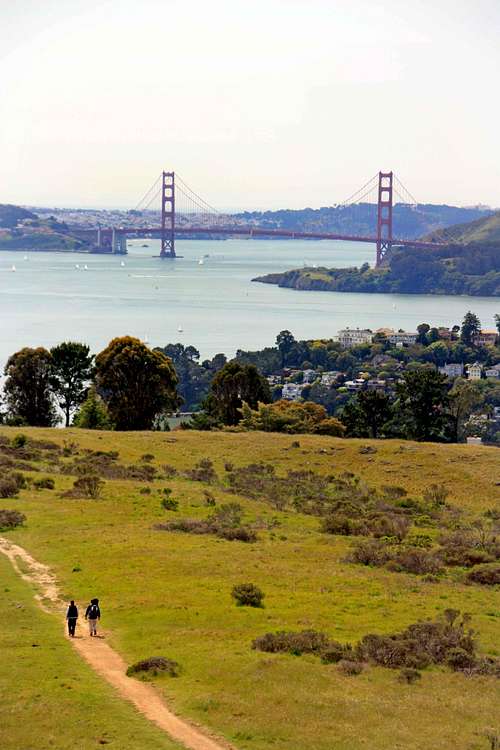 Golden Gate Bridge from the Tiburon Uplands