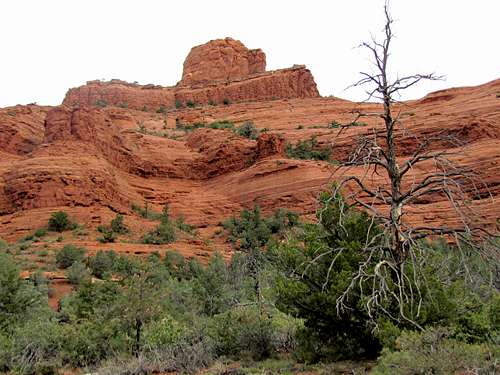 On Jim Thompson Trail