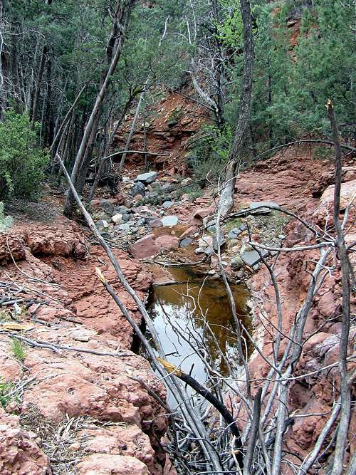 On Wilson Canyon Trail