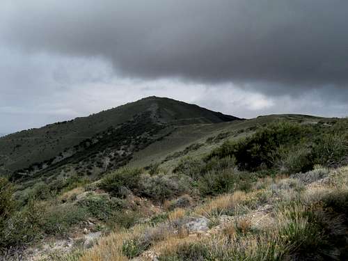 Mount Tenabo