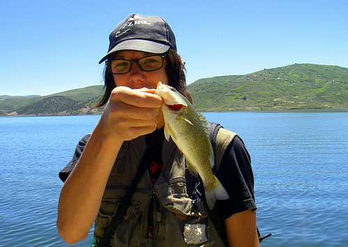 Smallmouth Bass