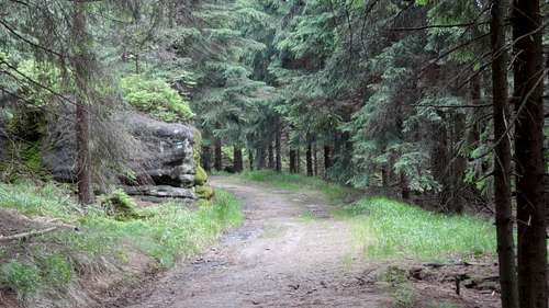 Trail of Zelený hájek 
