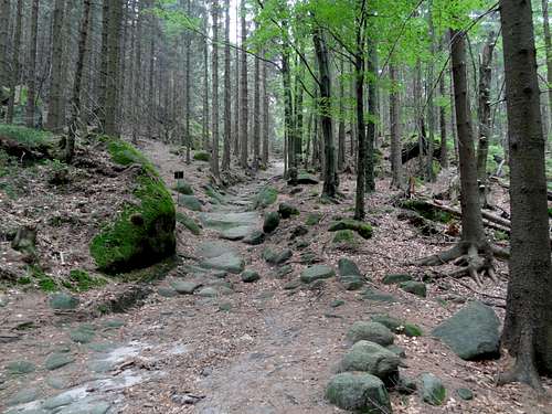 Trail below Velká Kupa