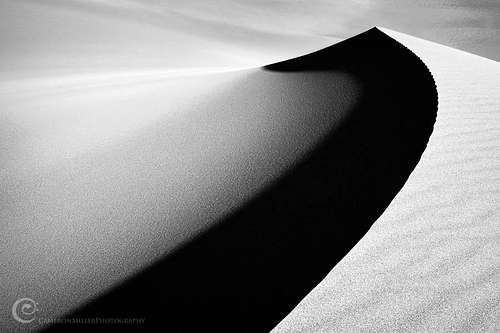 Dune in Black and White