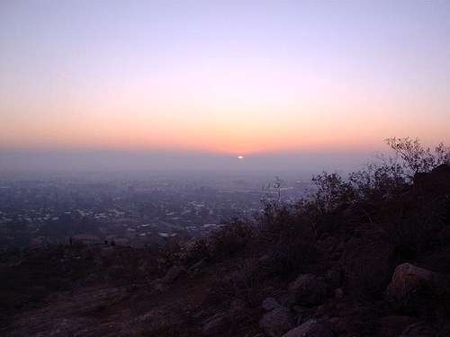 Looking east from the Cholla...