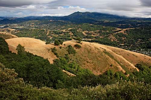South to Mt. Tam from Big Rock Ridge