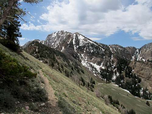 Deseret from Pocketts Fork Route