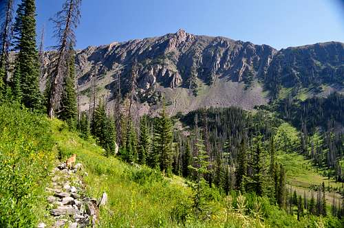 Flattop Mountain (Mount Zirkel Wilderness)
