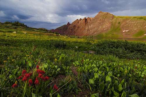 Elk Mountains of Colorado