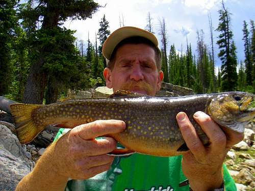 Brook Trout