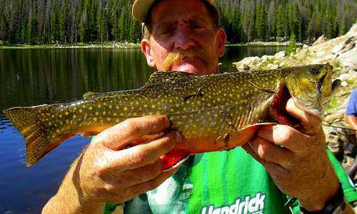  Big Brook Trout