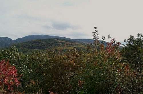 Pics of Cadillac Mountain by...