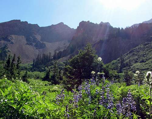 Rugged mountains over purple wildflowers