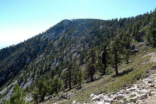 San Bernardino East Peak – My First Overnight Trip
