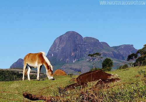 Nice donkey and Papagaio Peak on the back