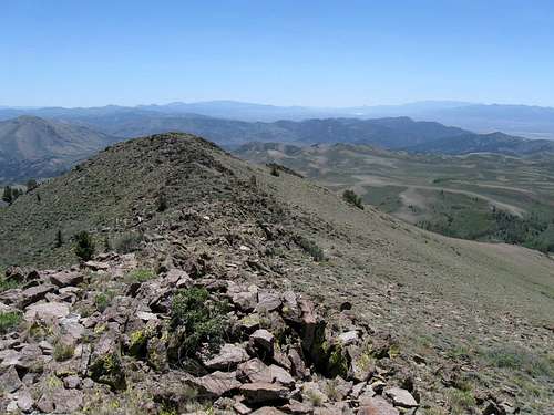 Summit Mountain (NV)