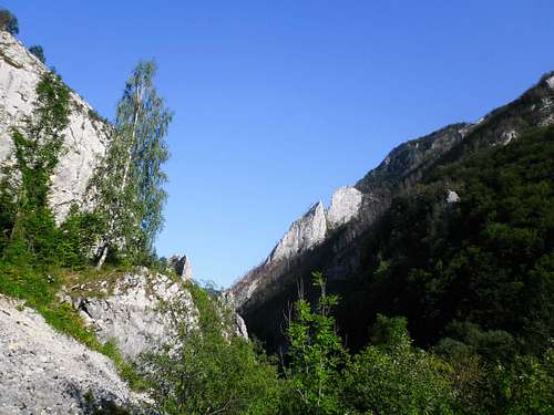 View from Brana Caprelor (Ramet Gorges)