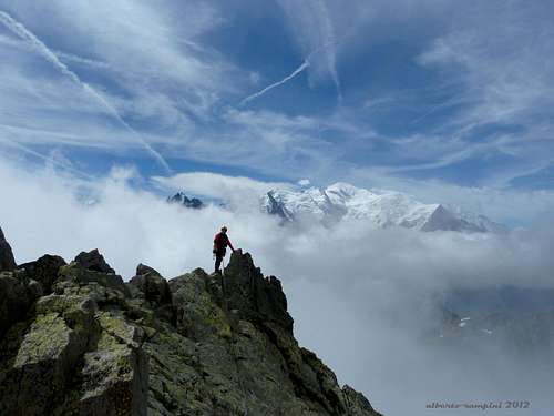 Mont Blanc group seen from  the summit of Aiguille de l'Index
