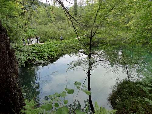 Pond over Kozjak lake