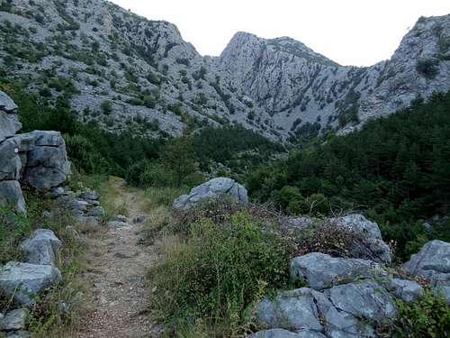 The trail during the lowest hundred meters is correct