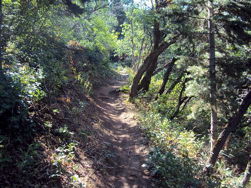 Rudy Flat Trail