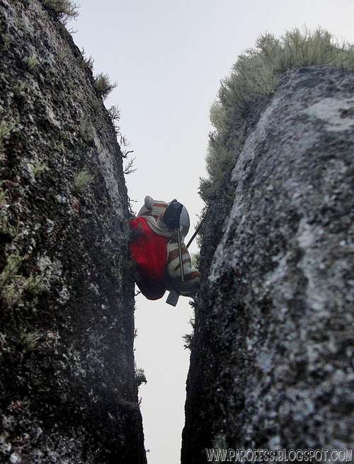 Parofito climbing