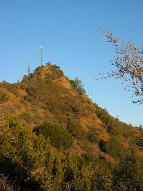 Mt. Diablo's antenna-infested...