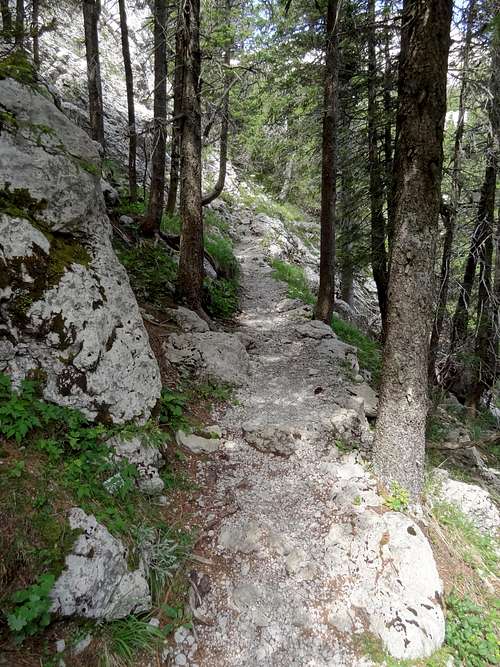 The Modric Dolac path