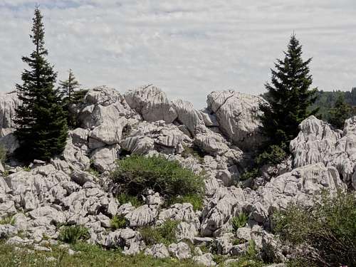 Limestone outcrops everywhere