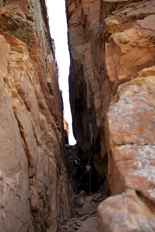 Narrow descent gully