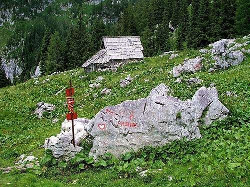 On Visevnik alpine pastures....