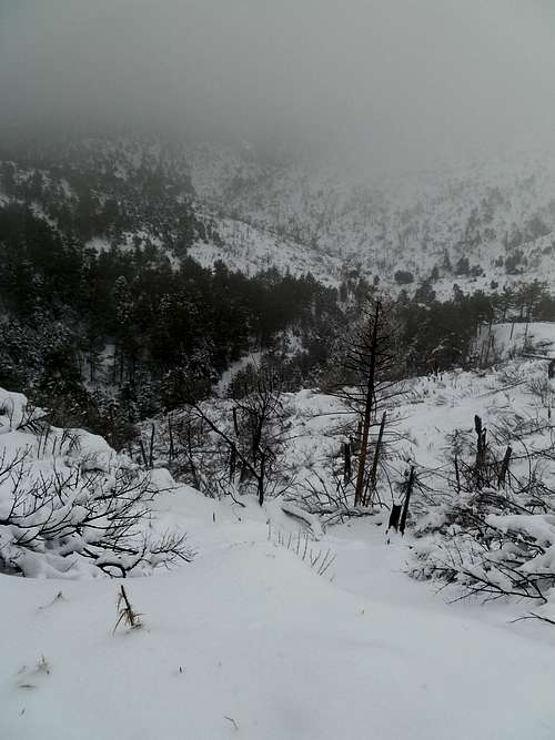 Chouni ravine full of snow