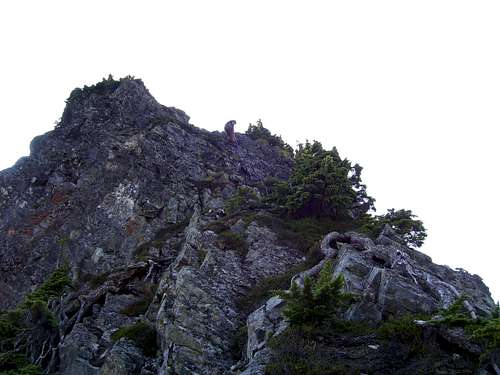 Rappelling the crux on Sheep Gap Mountain