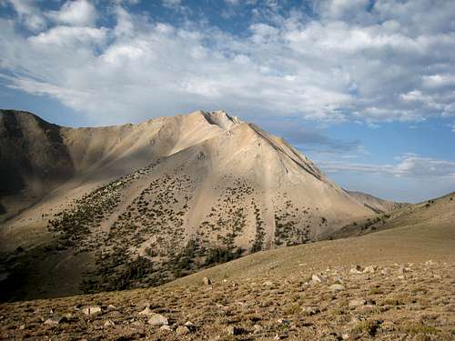 Nailing Nevada's Highpoint via the Queen Mine Trail