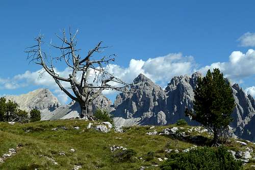 Dolomiti 2012 - A trip report in numbers and pictures