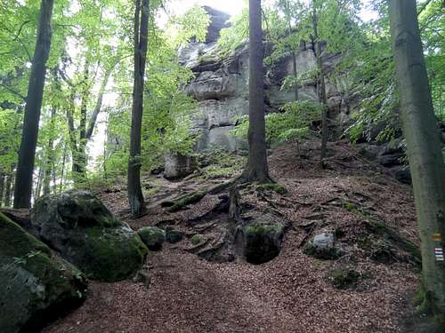 First outcrops